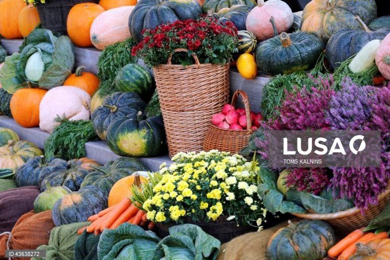 Letónia: Feira Tradicional Mikeldiena em Riga