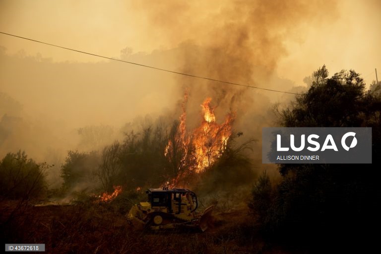 EUA: Incêndio florestal na Califórnia