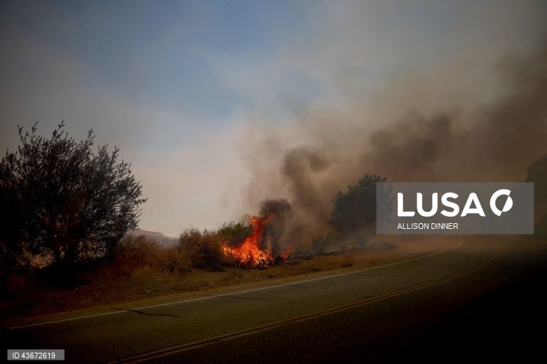 EUA: Incêndio florestal na Califórnia