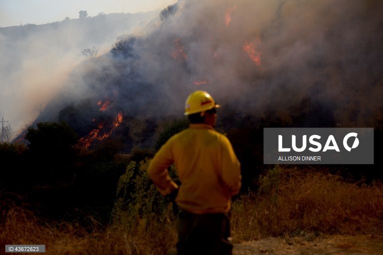 EUA: Incêndio florestal na Califórnia