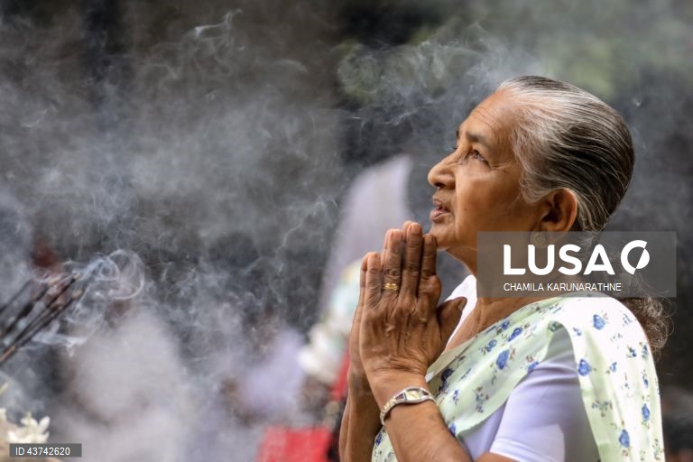 Sri Lanka: Fiéis budistas realizam rituais no dia de lua cheia em Colombo