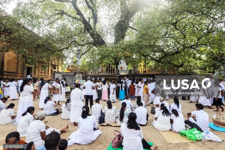 Sri Lanka: Fiéis budistas realizam rituais no dia de lua cheia em Colombo