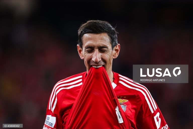  O Benfica venceu hoje o Rio Ave por 5-0 em jogo da nona jornada da liga portuguesa de futebol, somou a quarta vitória consecutiva na I Liga de futebol e ‘lambeu as feridas’ da derrota europeia a meio da semana, frente ao Feyenoord.