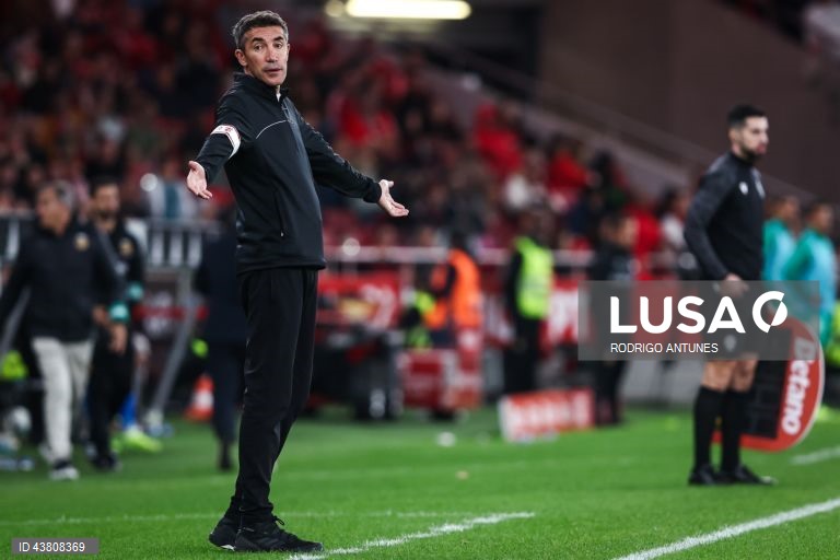  O Benfica venceu hoje o Rio Ave por 5-0 em jogo da nona jornada da liga portuguesa de futebol, somou a quarta vitória consecutiva na I Liga de futebol e ‘lambeu as feridas’ da derrota europeia a meio da semana, frente ao Feyenoord.