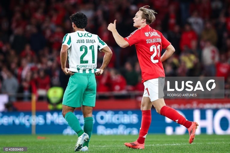  O Benfica venceu hoje o Rio Ave por 5-0 em jogo da nona jornada da liga portuguesa de futebol, somou a quarta vitória consecutiva na I Liga de futebol e ‘lambeu as feridas’ da derrota europeia a meio da semana, frente ao Feyenoord.