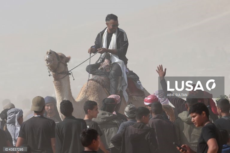Israel: primeira corrida oficial de camelos beduínos no deserto do Negev