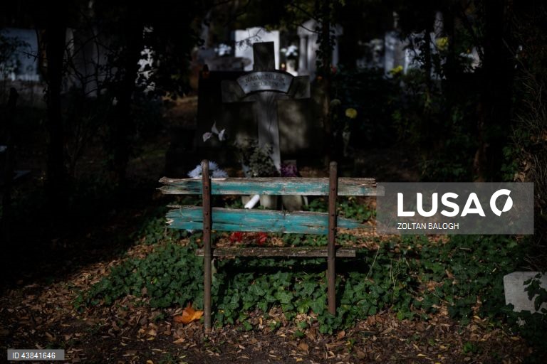 Celebração do Dia dos Mortos