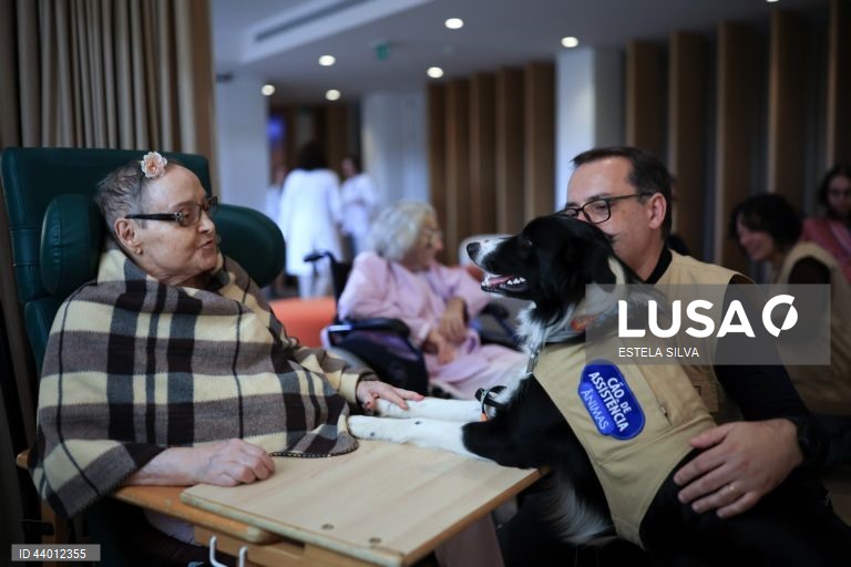 Os doentes em cuidados paliativos do Instituto Português de Oncologia (IPO) do Porto recebem desde outubro, semanalmente, a visita de cães de intervenções assistidas, um apoio que utentes, familiares e profissionais garantem ajuda a minimizar o sofrimento, 02 de dezembro 2024. Um golden retriever de três anos, chamado Zazu, e um border collie de 22 meses, de nome Heartie, acompanhados respetivamente pelos tutores Catarina Cascais e Abílio Leite, são os protagonistas deste serviço...