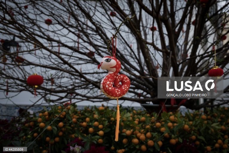 Celebrações do Ano Novo Lunar, em Macau, 23 de janeiro de 2025. Trata-se da principal festa das famílias chinesas, equivalente ao natal nos países ocidentais, e para muitos trabalhadores as folgas e feriados concedidos nesta quadra constituem as únicas férias do ano. (ACOMPANHA TEXTO DE DIA 26 DE JANEIRO DE 2025). GONÇALO LOBO PINHEIRO/LUSA