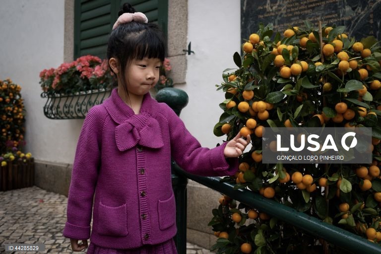 Celebrações do Ano Novo Lunar, em Macau, 23 de janeiro de 2025. Trata-se da principal festa das famílias chinesas, equivalente ao natal nos países ocidentais, e para muitos trabalhadores as folgas e feriados concedidos nesta quadra constituem as únicas férias do ano. (ACOMPANHA TEXTO DE DIA 26 DE JANEIRO DE 2025). GONÇALO LOBO PINHEIRO/LUSA