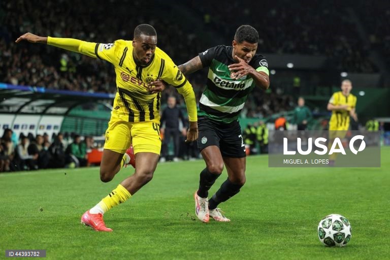 Futebol: Liga dos Campeões - Sporting vs Borussia Dortmund 