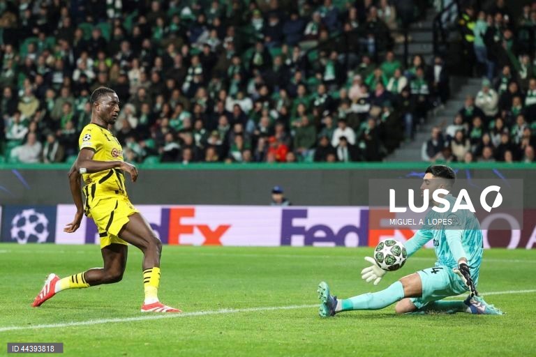 Futebol: Liga dos Campeões - Sporting vs Borussia Dortmund 