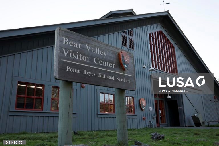 EUA: A administração do presidente Donald Trump, com o conselheiro não eleito Elon Musk, planeia despedir milhares de trabalhadores do Serviço Nacional de Parques e do Serviço Florestal