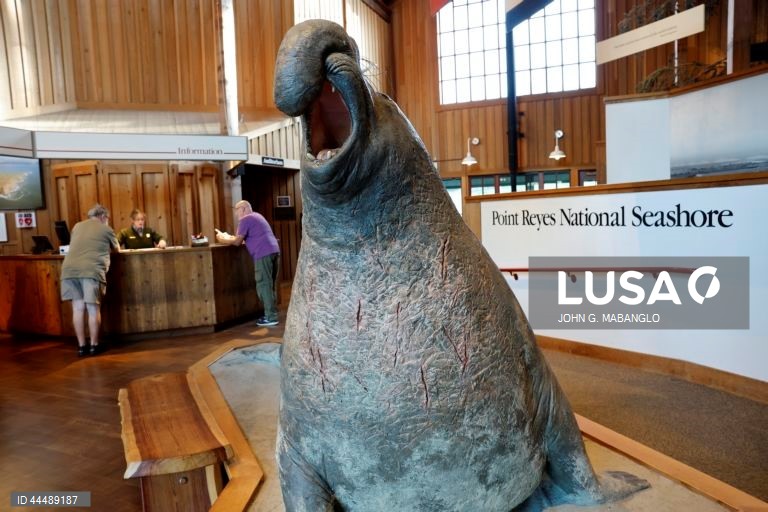 EUA: A administração do presidente Donald Trump, com o conselheiro não eleito Elon Musk, planeia despedir milhares de trabalhadores do Serviço Nacional de Parques e do Serviço Florestal