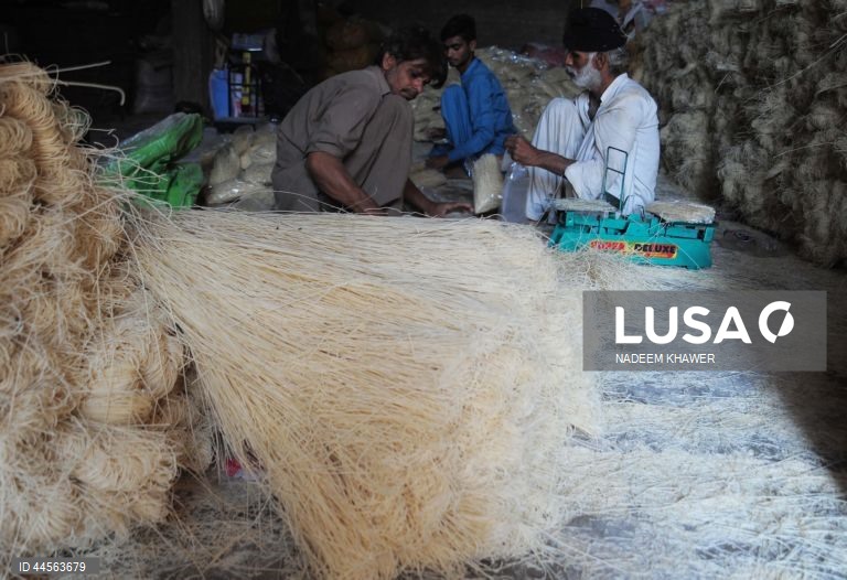 Paquistão: Fábrica em Hyderabad produz aletria para o Ramadão