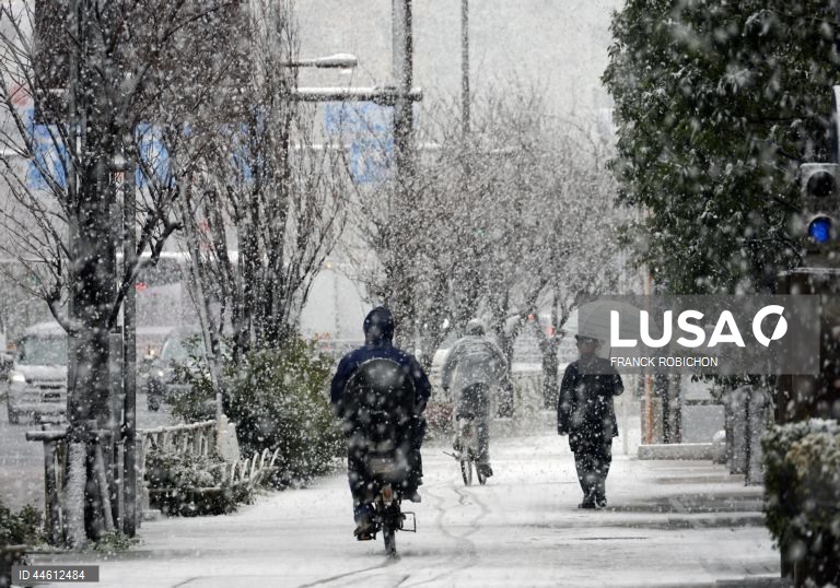 Japão: Queda de neve em Tóquio