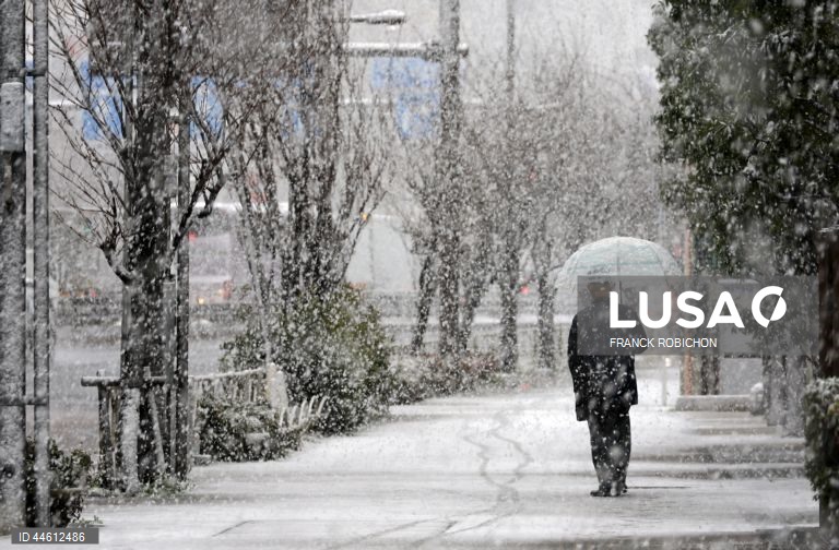 Japão: Queda de neve em Tóquio