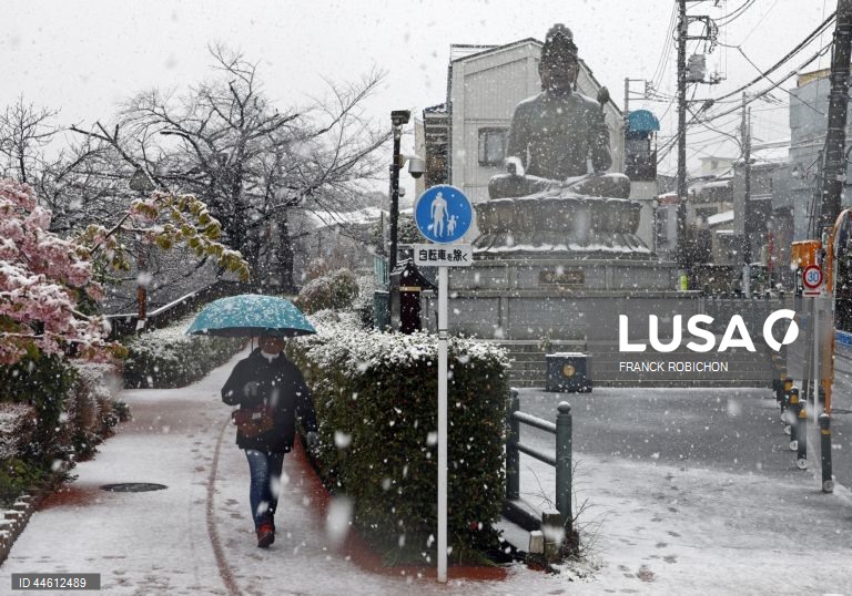 Japão: Queda de neve em Tóquio