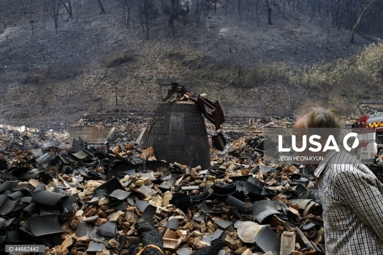 Coreia do Sul debate-se com os maiores incêndios florestais de que há registo, com pelo menos 26 mortos