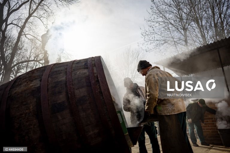República Checa: Tanoeiros na fábrica de cerveja Pilsner Urquell em Plzen