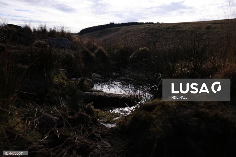 Reino Unido: Conservacionistas trabalham na recuperação de turfeiras em Dartmoor