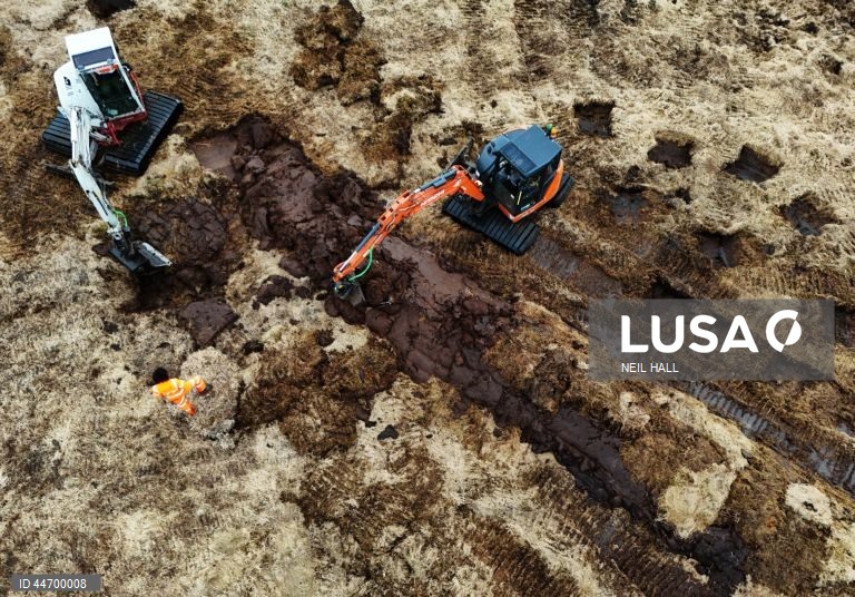 Reino Unido: Conservacionistas trabalham na recuperação de turfeiras em Dartmoor