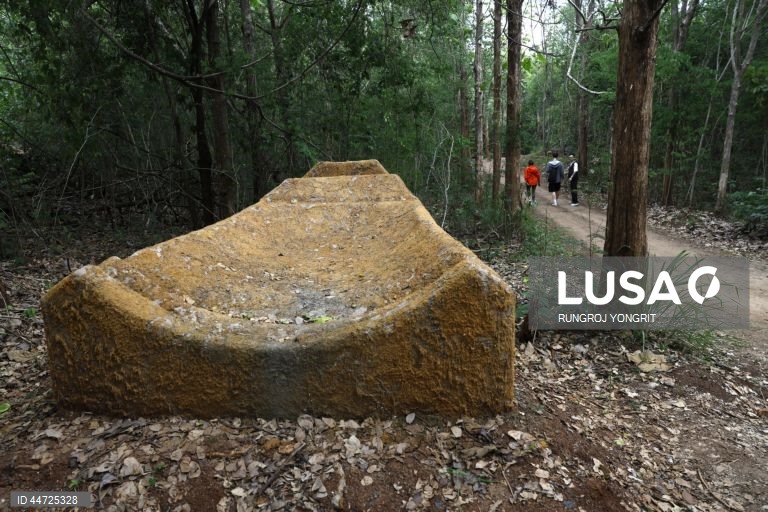 Exposição Arte na Floresta