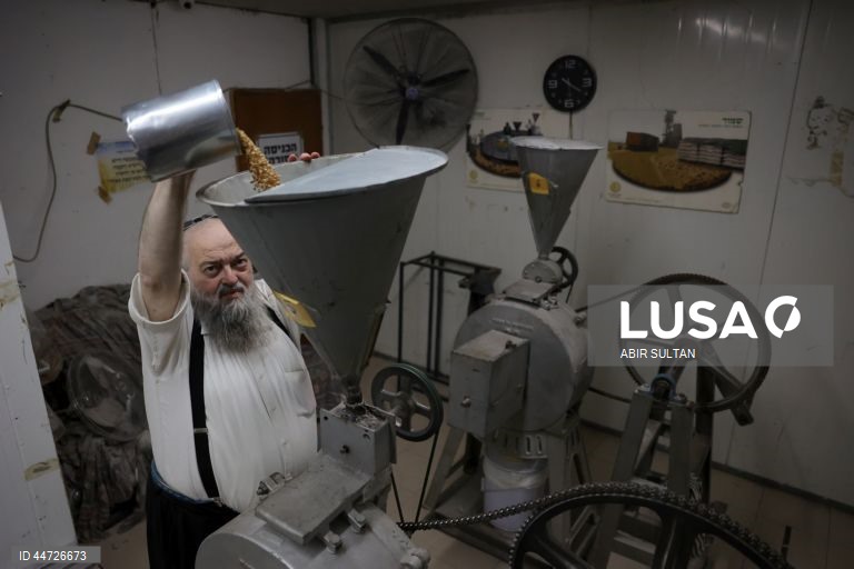 Israel: Judeus ultra-ortodoxos fazem pão achatado Matzah antes do feriado judaico da Páscoa