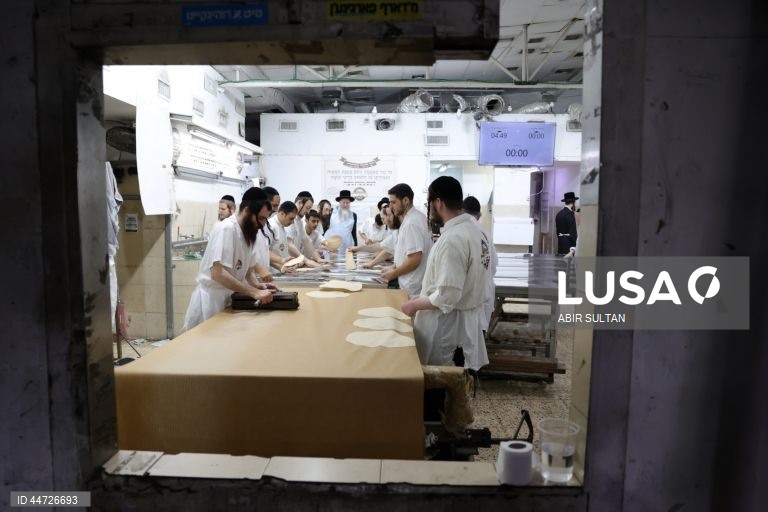 Israel: Judeus ultra-ortodoxos fazem pão achatado Matzah antes do feriado judaico da Páscoa