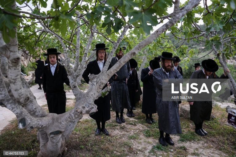 Israel: Judeus ultra-ortodoxos queimam pão fermentado antes da Páscoa em Jerusalém