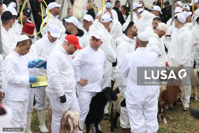 Cisjordânia: Samaritanos celebram a Páscoa no Monte Gerizim