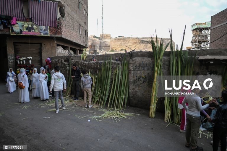 Egito: Cristãos coptas egípcios celebram o Domingo de Ramos ortodoxo