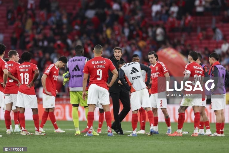 O Benfica perdeu hoje a liderança da I Liga portuguesa de futebol, ao empatar a dois golos na receção ao Arouca, falhando a 10.ª vitória consecutiva na prova, em encontro da 29.ª jornada.