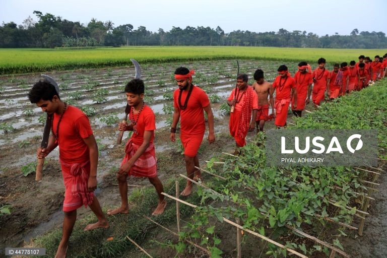 Índia: Festival hindu em Kolkata