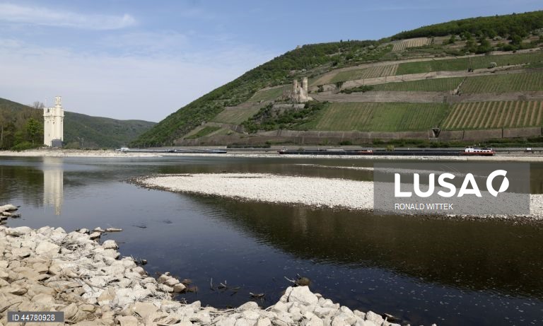 Alemanha: rio Reno com nível de água baixo