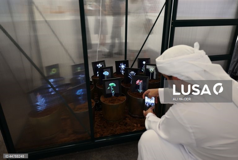 Feira Art Dubai 2025