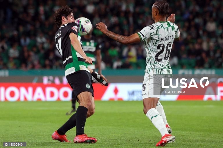 Sporting CP vs Moreirense FC