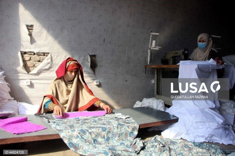 Afeganistão: Jovem empresária emprega 20 mulheres em Kandahar
