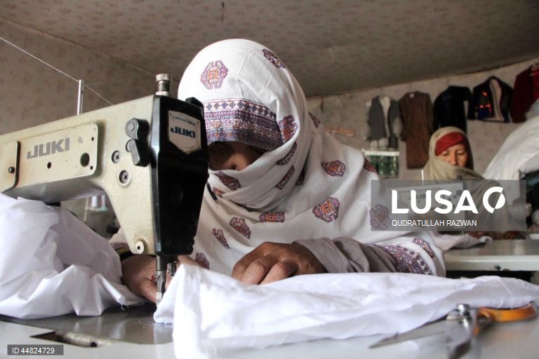 Afeganistão: Jovem empresária emprega 20 mulheres em Kandahar