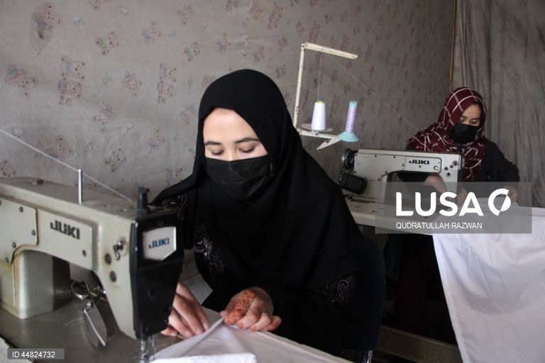 Afeganistão: Jovem empresária emprega 20 mulheres em Kandahar