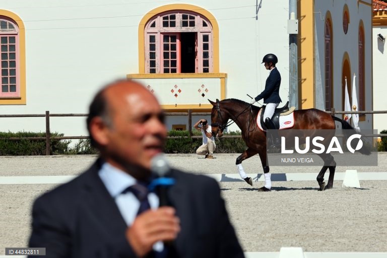 Leilão anual de cavalos Puro Sangue Lusitano na Coudelaria de Alter do Chão