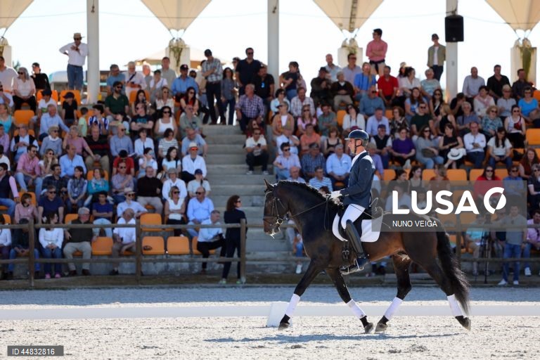 Leilão anual de cavalos Puro Sangue Lusitano na Coudelaria de Alter do Chão