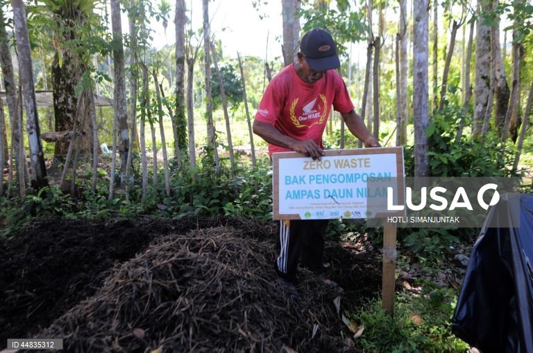 Indonésia: Produção de óleo essencial de patchouli em Banda Aceh