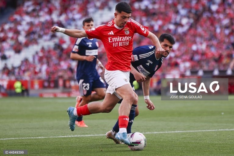 I Liga: Benfica vs AVS