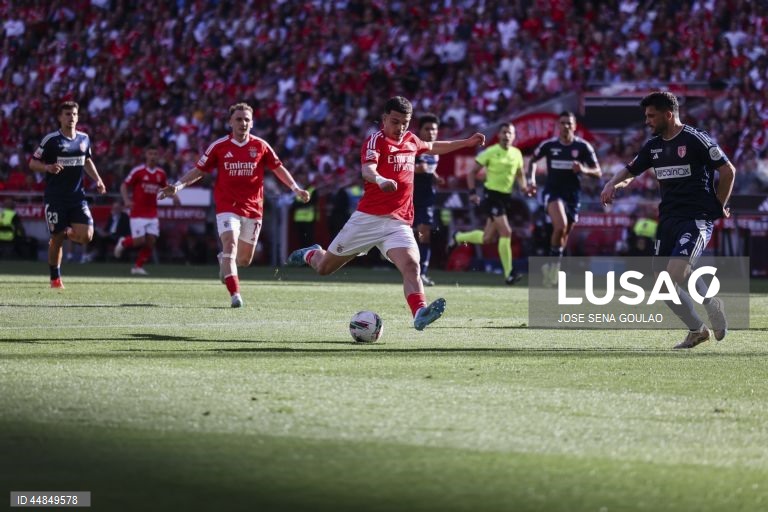 I Liga: Benfica vs AVS