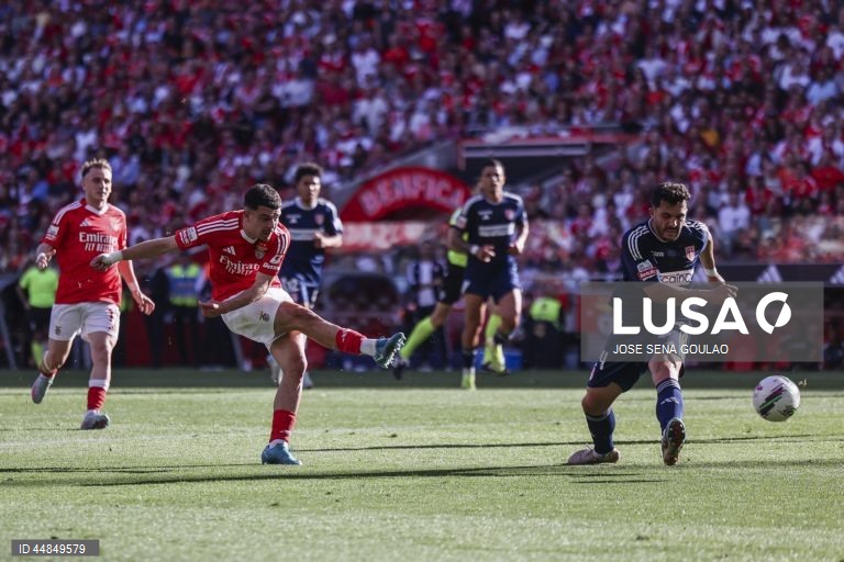 I Liga: Benfica vs AVS