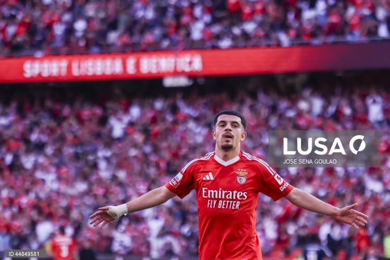 I Liga: Benfica vs AVS