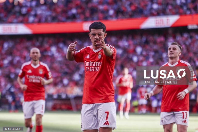I Liga: Benfica vs AVS
