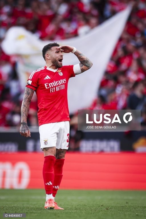 I Liga: Benfica vs AVS