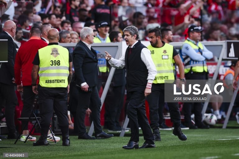 I Liga: Benfica vs AVS
